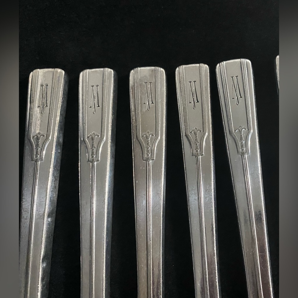 WM Rogers MFG CO Modern Rare to find  Precious Pattern Set of 11 Dinner Knives